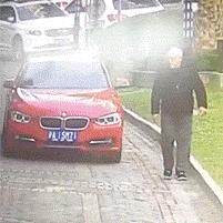 搞笑表情包动图片大全,我手机珍藏的50个动态表情包