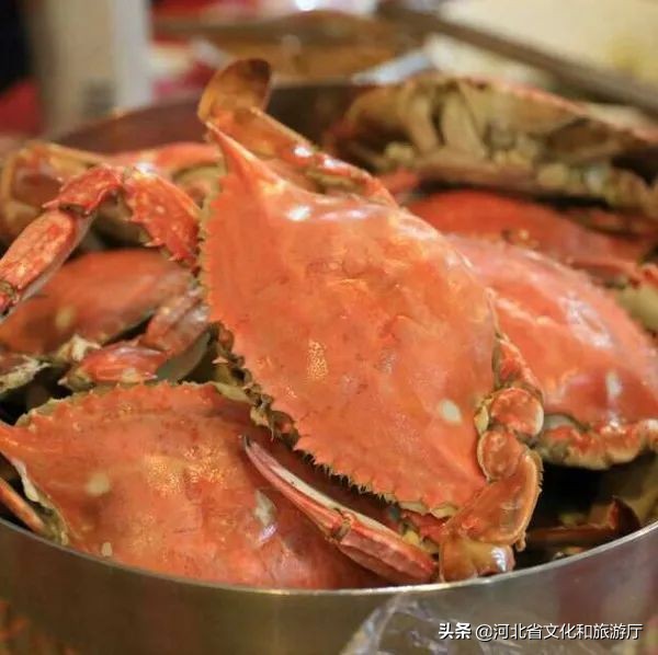 留在秦皇岛,秦皇岛为什么人那么多