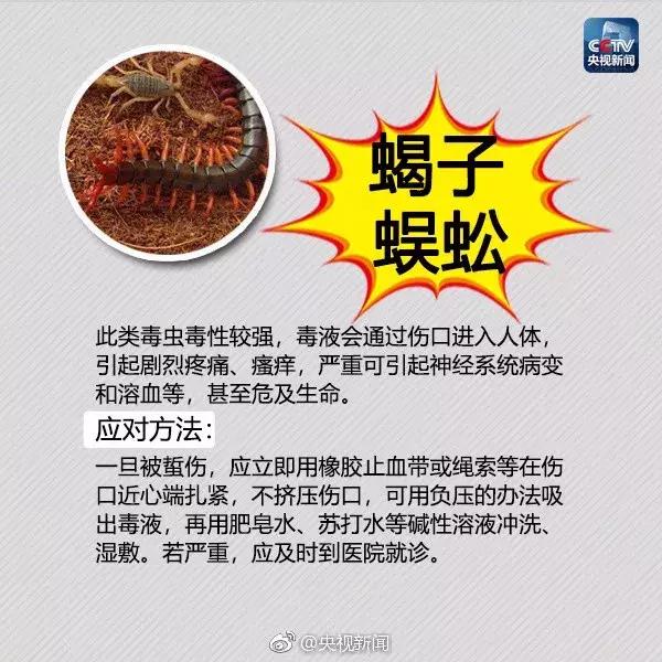 南宁邕江红火蚁,被广西红火蚁咬了怎么办
