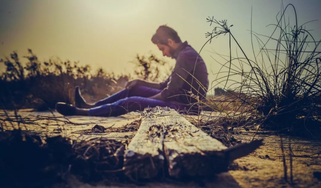 北大女生自杀事件:这场极致的冥王星操纵,只钩住了2件事