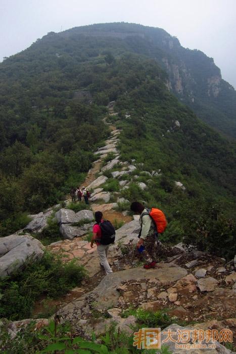 新型农业综合体,新型农业综合体是什么