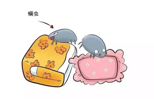 床垫螨虫咬了用什么方法,床垫螨虫成窝