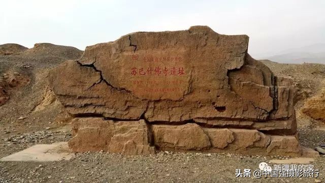 又一封辞职信火了，*疆新**人已传疯