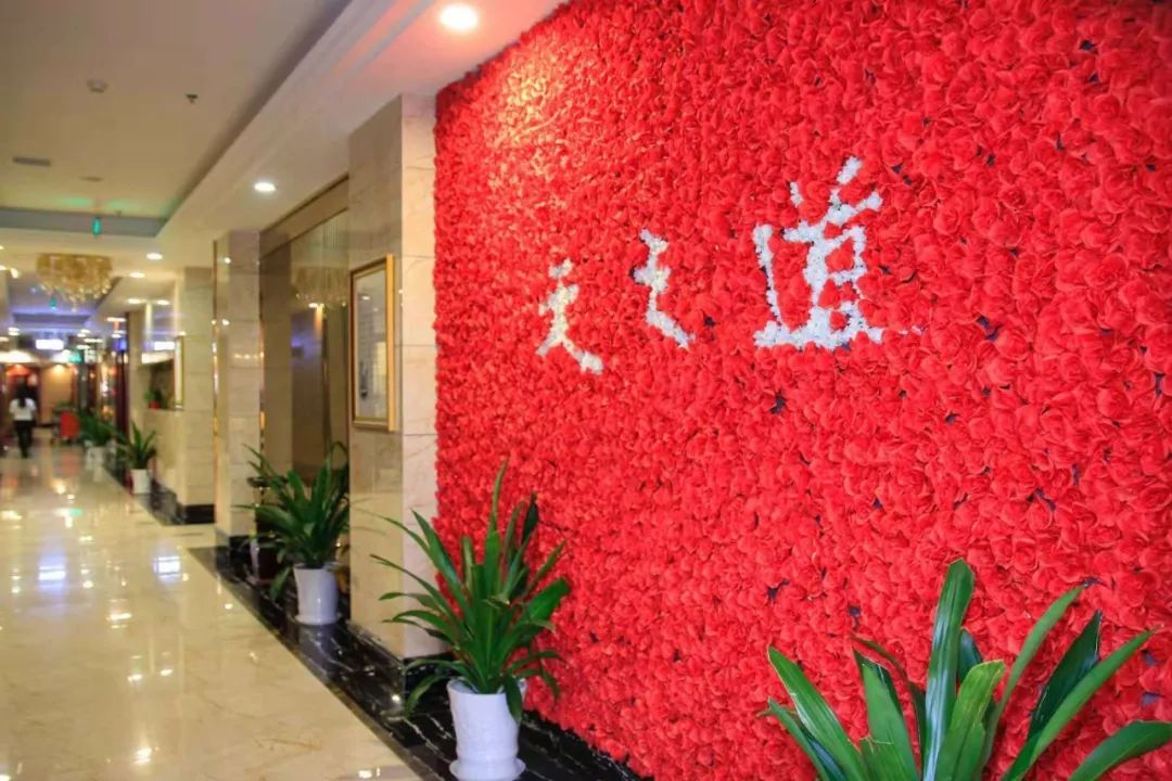 刘念写文章,刘念转气心法