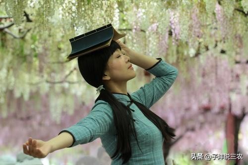 盆栽的紫藤花怎么造景比较美,紫藤花造型盆栽