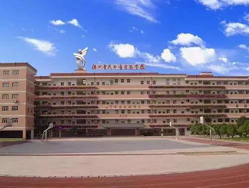 深圳龙岗区私立初中学校排名,深圳龙岗区小学初中学校