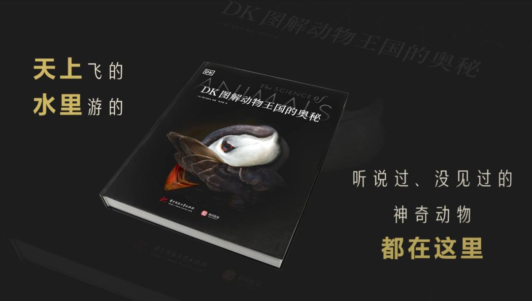 揭秘动物世界的“冷知识”,动物世界中的奇妙之处