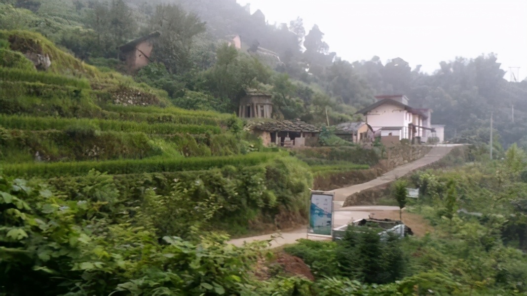 散文落叶片段,散文落叶歌曲