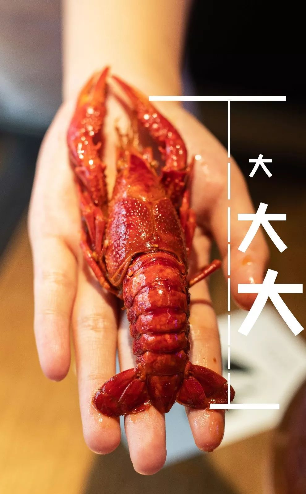 虾贝勒299元,虾贝勒上海店