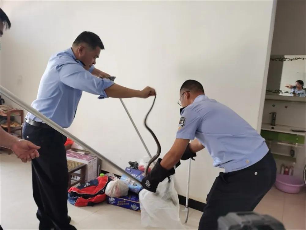 治庸方面存在问题,治庸便民最好的办法