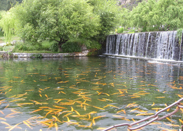 关于赚钱的真相:明白这些,你离月入过万就不远了