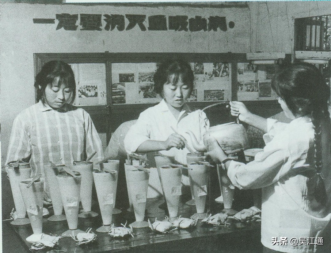 我经历“送瘟神”的时光