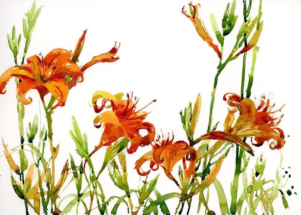 酣畅淋漓的水彩,酣畅淋漓水彩