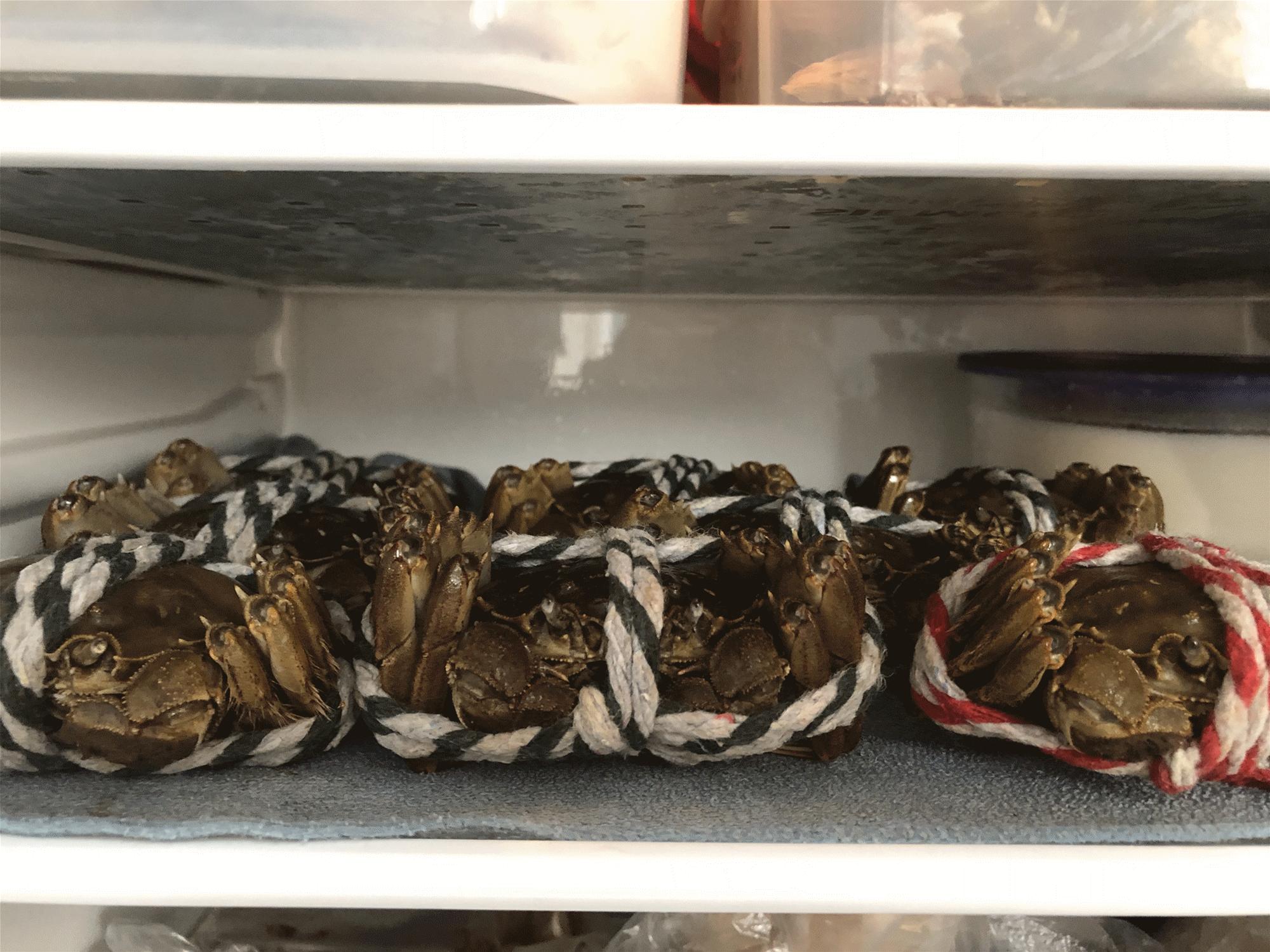 大闸蟹什么季节的肉比较肥,怎么挑大闸蟹又肥又鲜南方