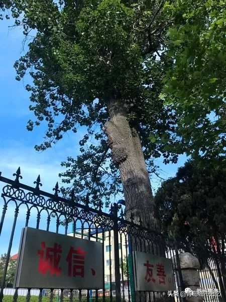 记忆里的老街明信片,回忆中的老街视频