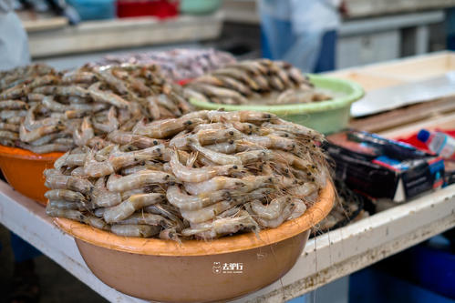 贫穷限制了我的想象力迪拜,三个你不知道的迪拜真相