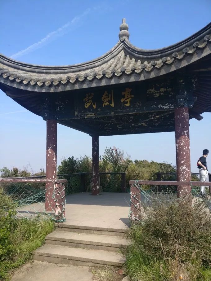 上海去桃花岛的自驾轮渡时间表,上海开车去舟山桃花岛怎么去