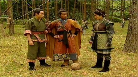 中国足球明星阵容,中国足球明星队阵容