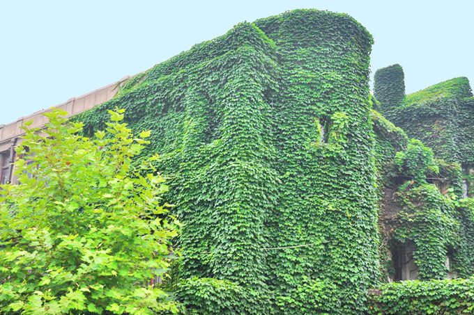 青岛三日游最佳攻略时间,青岛三日游攻略大全最新