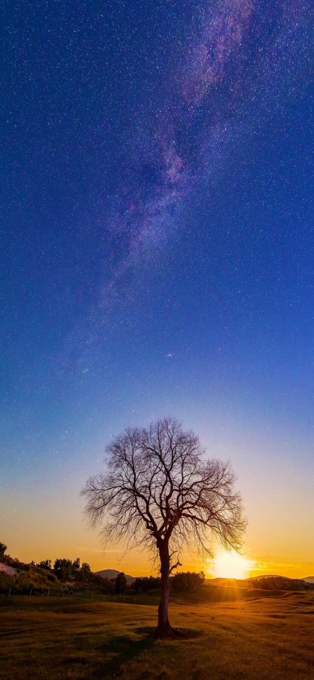 清爽高清壁纸护眼手机壁纸,风景壁纸动态壁纸高清全屏90帧