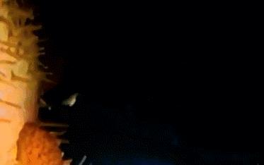 每一个都那么拼命前进，我们还好意思去选择性别吗？