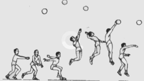 体育教学挂图动作图解,体育课动作教学