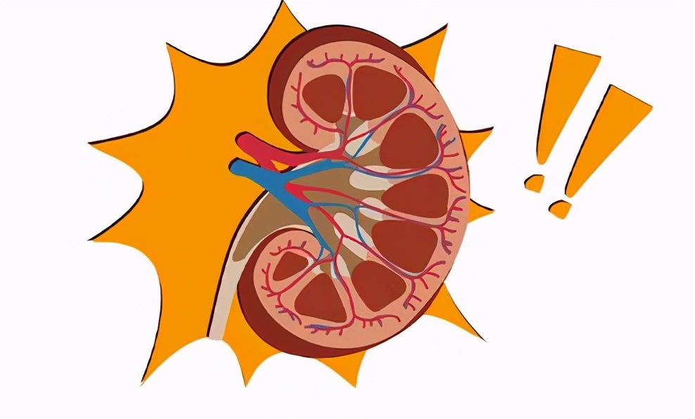 出现蛋白尿就是肾功能不全吗,只要出现蛋白尿就是肾病吗