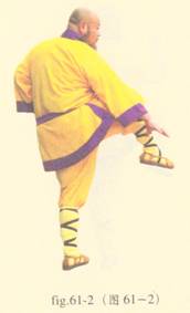 少林心意门拳视频教程,少林长护心意拳图解