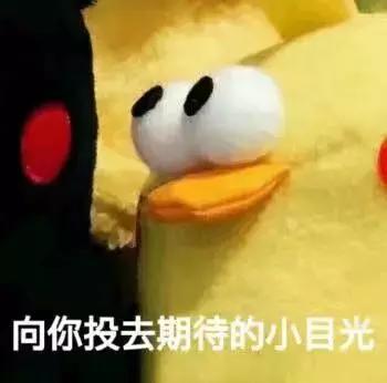 德育南岸粉墨飘香｜踢好脚下每一球走好人生每一步