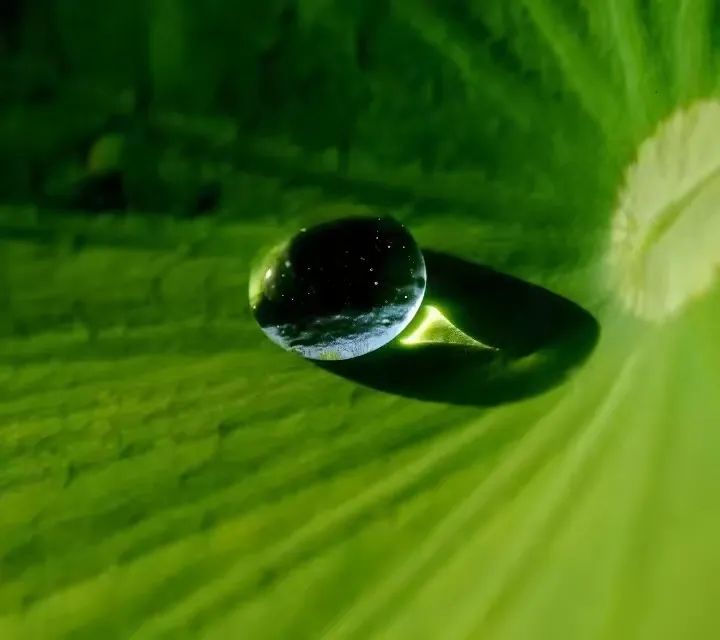 有创意的招商文案范文怎么写,招商干货技巧分享文案怎么写