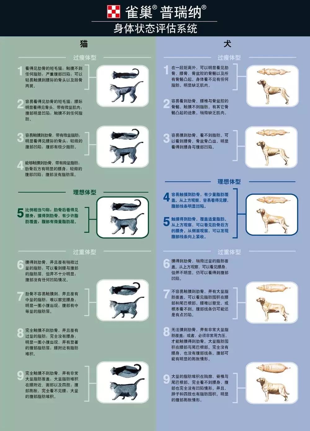 宠物消费市场千亿赛道,宠物市场分析暴涨背后