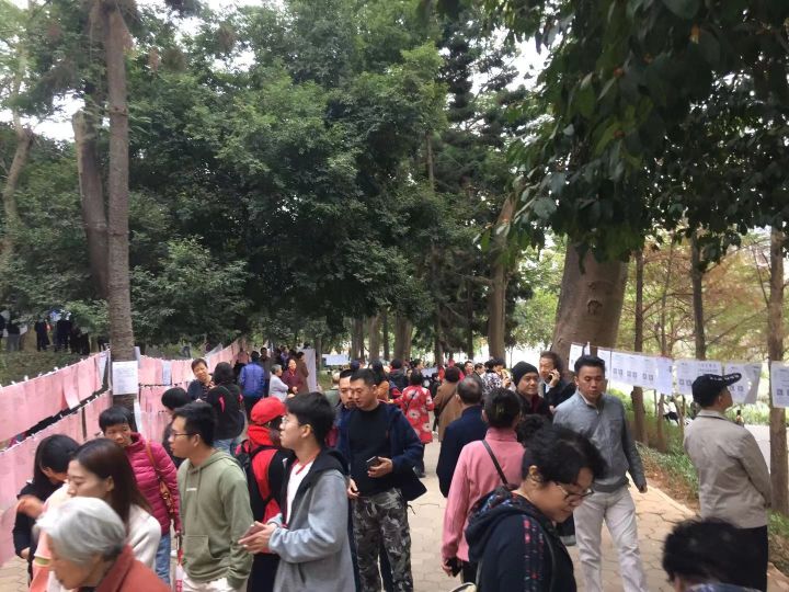 在相亲角逛了一圈，我们差点脱不开身