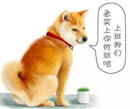 上班族养狗正确方法,上班族怎么养刚满月的狗