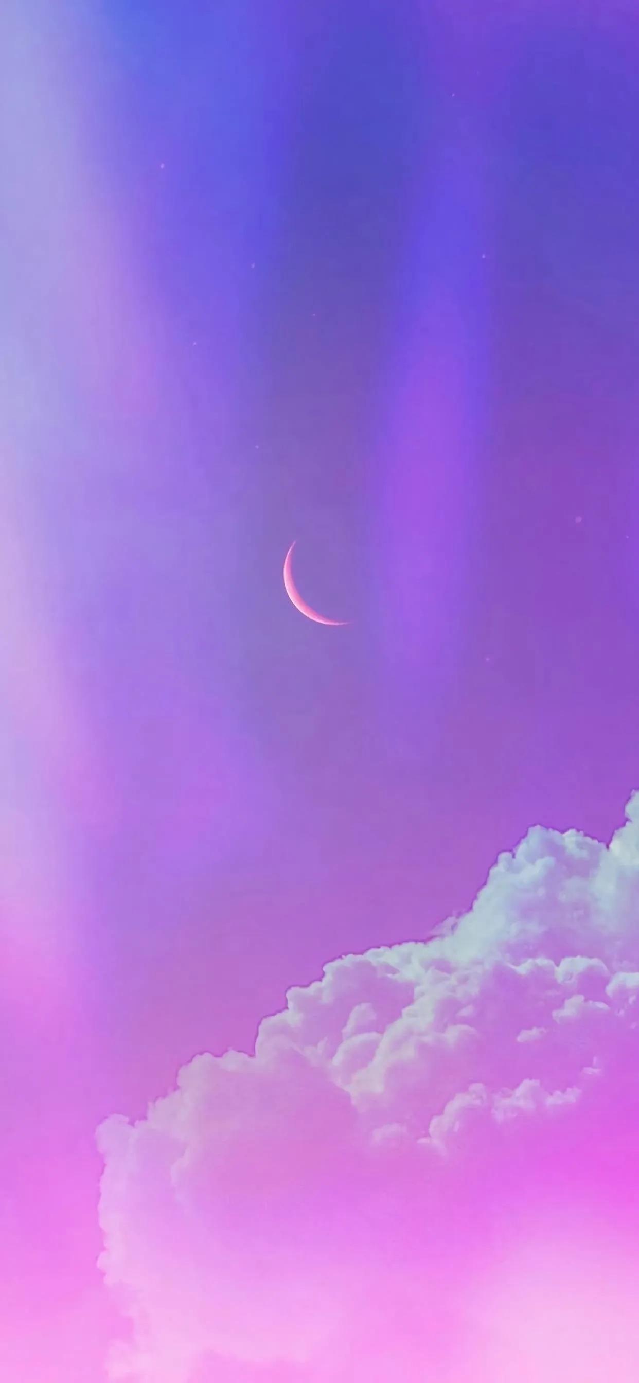 紫色壁纸星空壁纸,紫色菊花风景美图壁纸