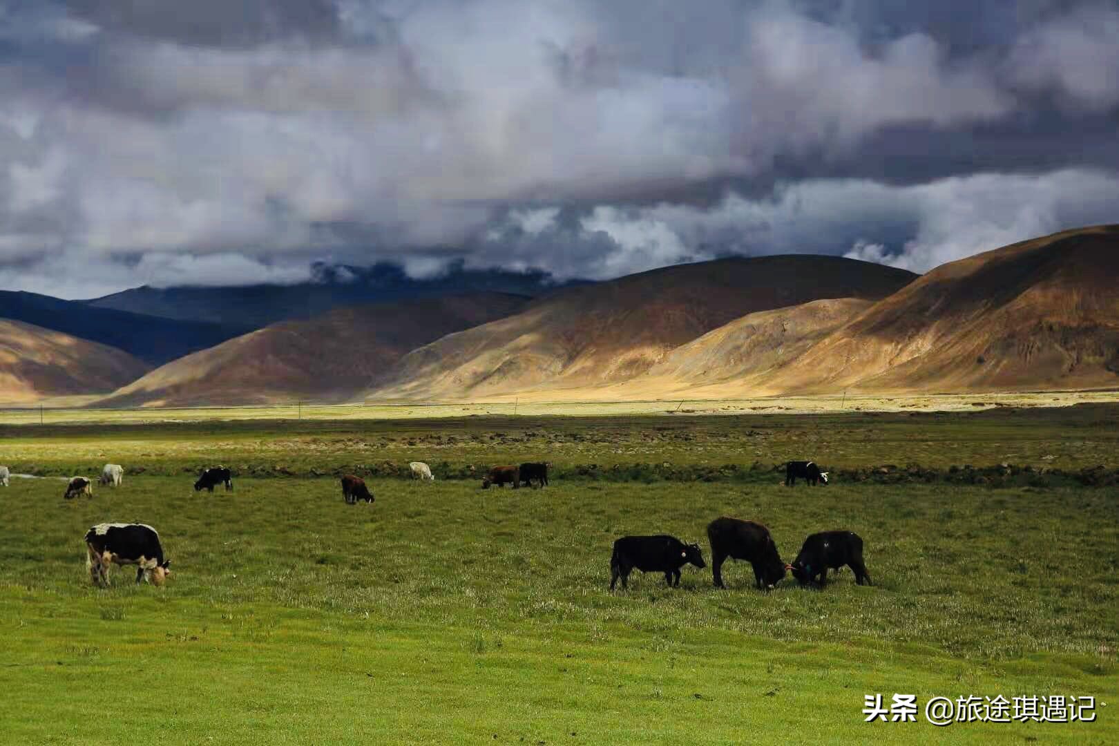 去了北疆还要去南疆吗,现在去南疆还是北疆好