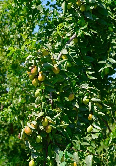 热门护肤品成分,护肤品好的成分一览表