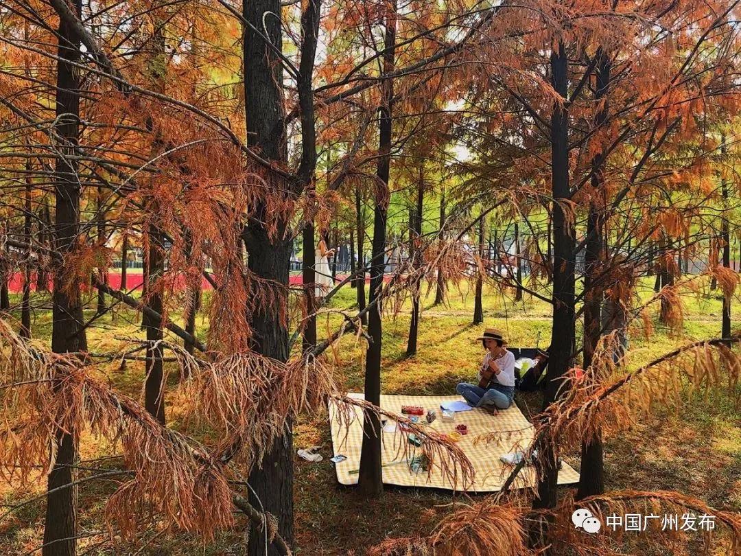 必打卡的宝藏公园,这些宝藏打卡地分分钟让人美到