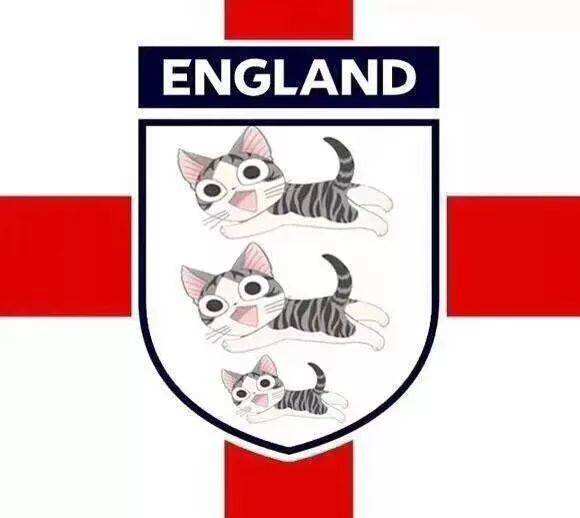 足坛大狮子,世界动物大全