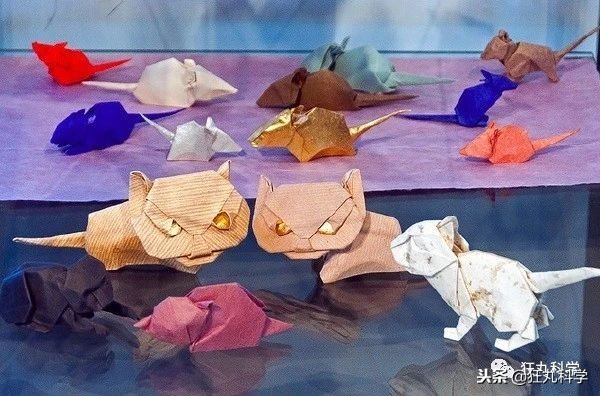 折纸大神的所有折纸,折纸大神教折纸