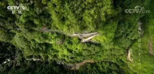 重庆至酉阳绿巨人动车何时开,兰州至陇西有绿巨人列车吗