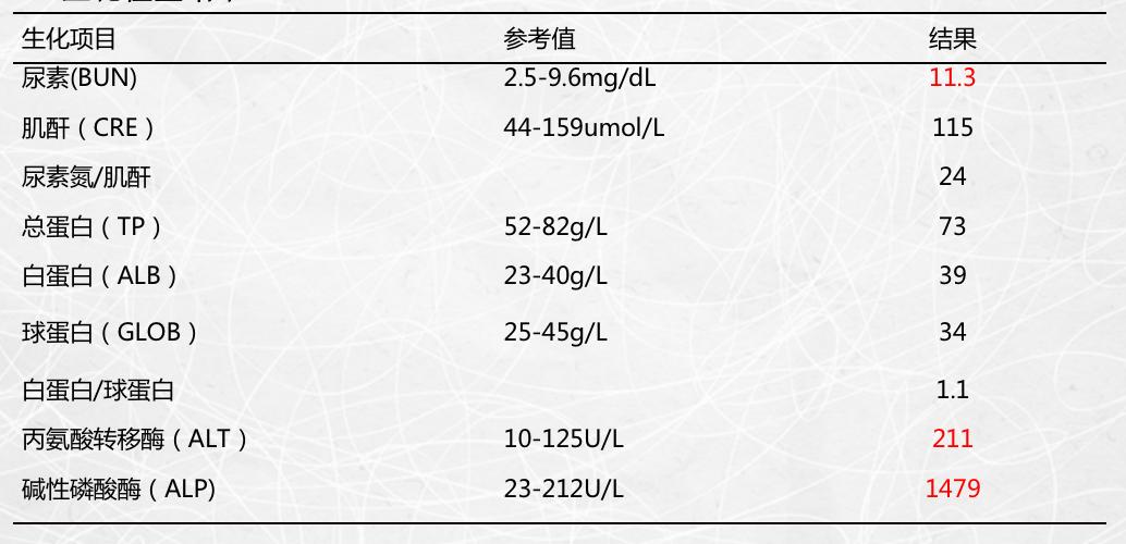 狗狗喜欢追逐移动的东西,狗狗前十字韧带撕裂