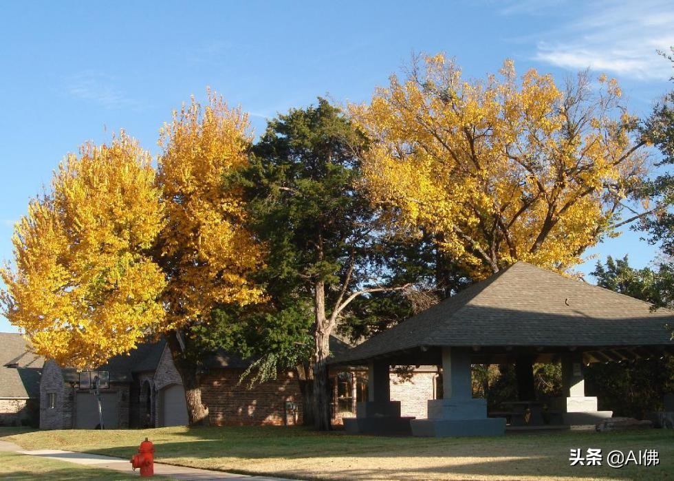 美国十大适合居住的州,美国每个州最佳居住地