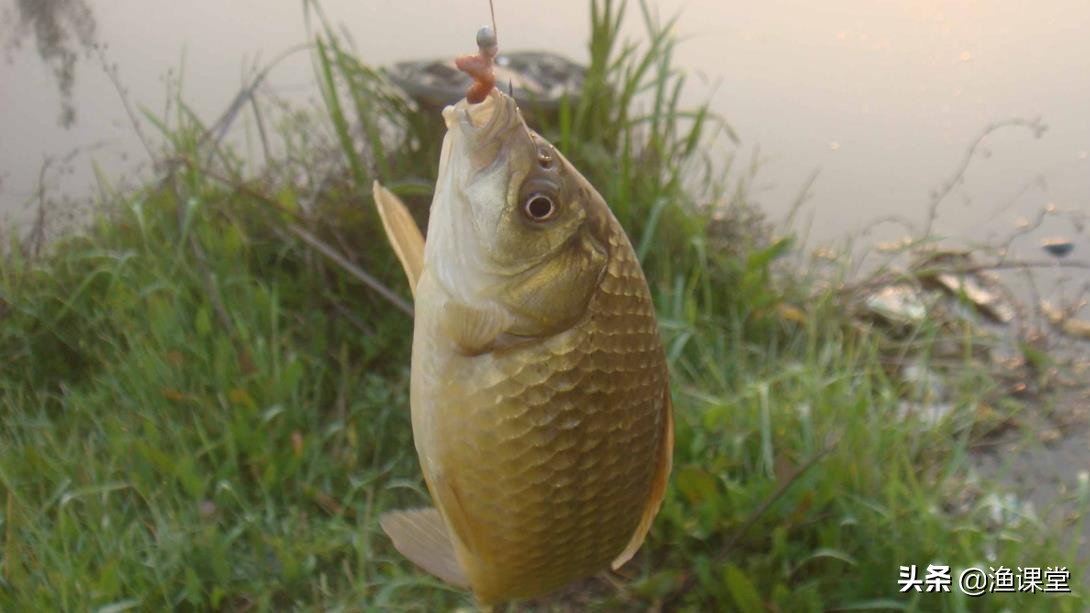 钓鱼出现顶漂的解决方法,钓鱼如何避免浮漂爆顶