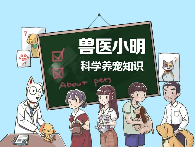 猫咪也会感觉到焦虑不安，铲屎官可千万别忽视掉一些细节