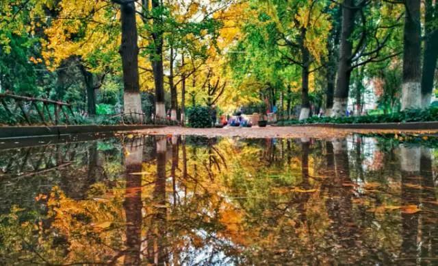 云南适合深秋游玩的地方,云南的秋天适合去哪些景点