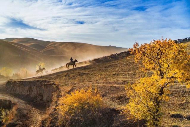 第一次去新疆玩南疆还是北疆合适,去南疆还是南北疆一起去