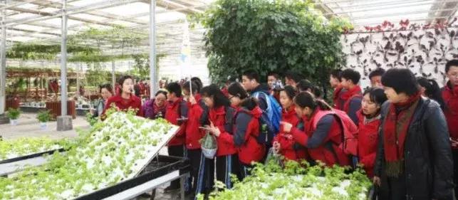 西安教育那点事,你还在抱怨学习太累吗