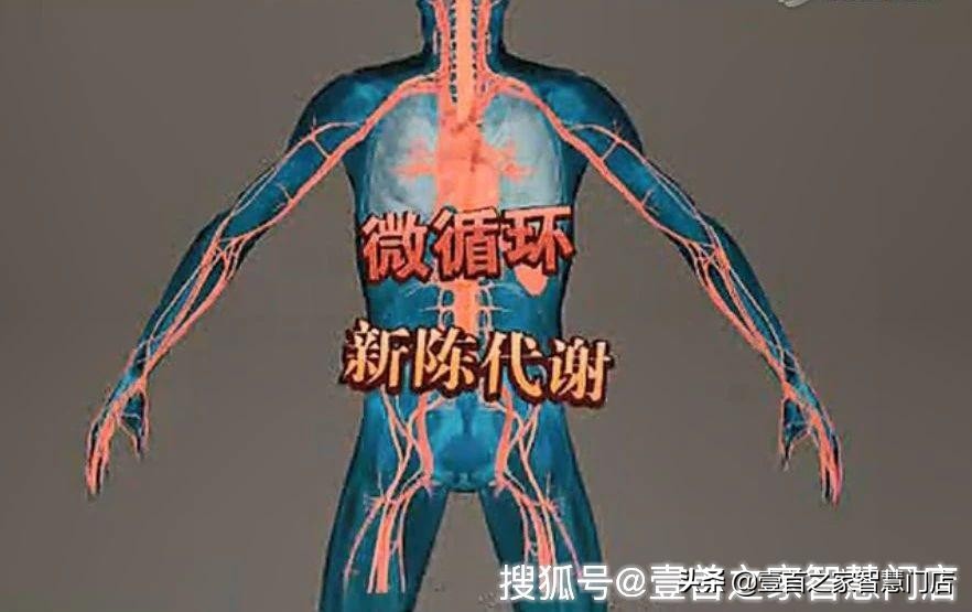 促进宫腔微循环排毒,微循环排毒