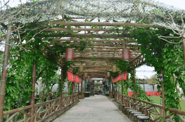 雨城区乡镇名称,雨城区区划