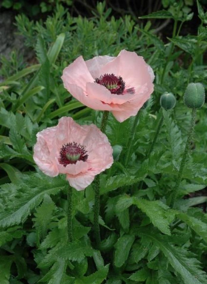 霸气经典说说适合发朋友圈的句子,最近朋友圈很流行的说说句句经典